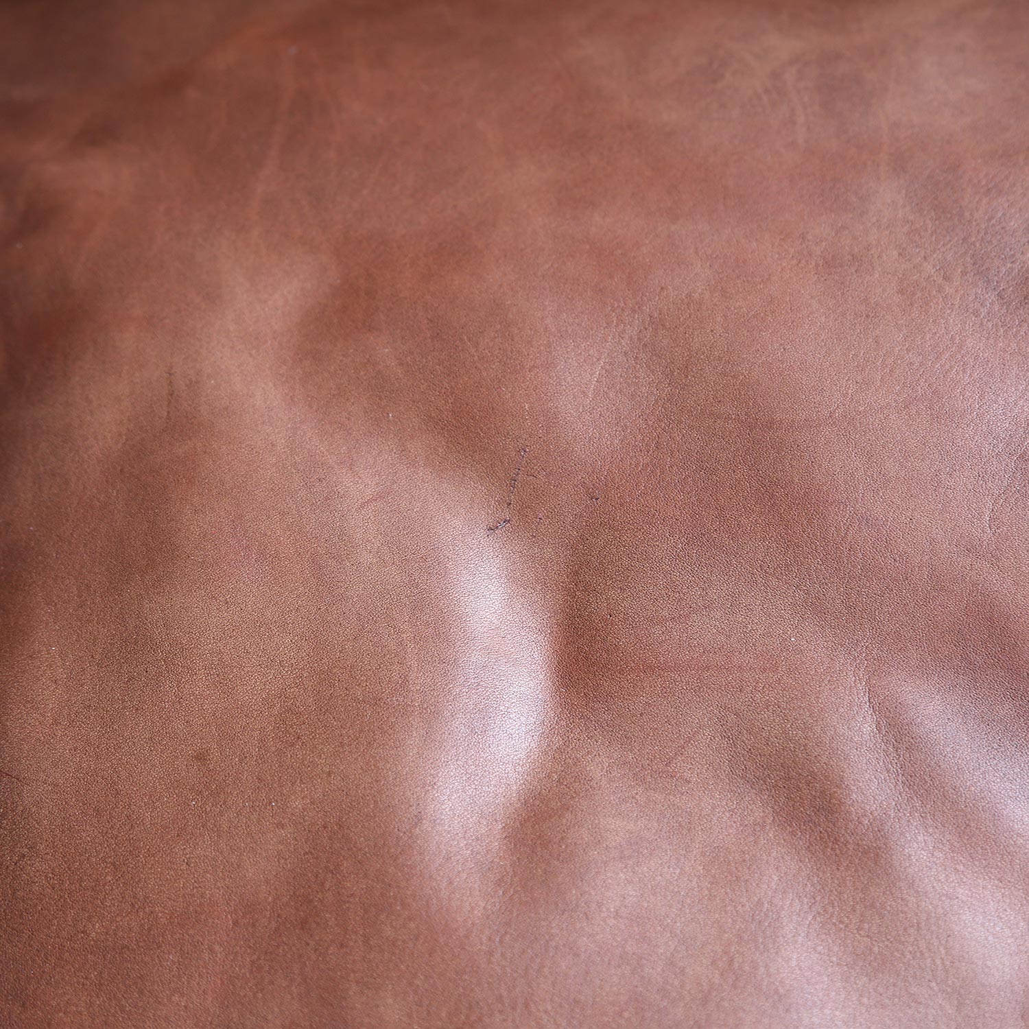 Robert Haussmann De Sede_Ledersofa RH 302 Cognac Vintage Design Couch